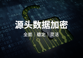 Tianrui Green Shield Data Anti-leakage System