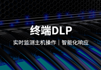 Data Leakage Protection System of Tianrui Terminal