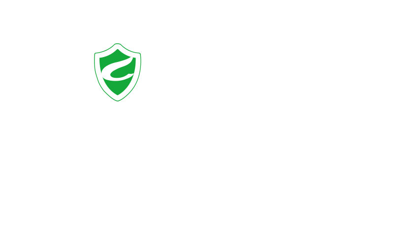天銳綠盾資訊安全管理平臺